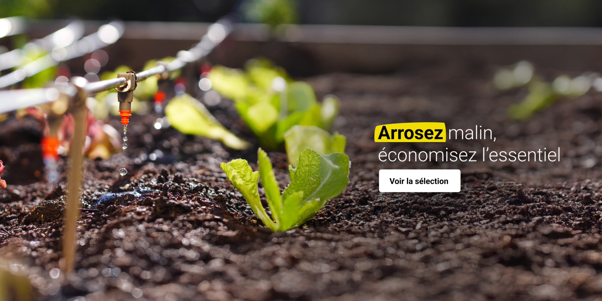 Arrosage raisonné
