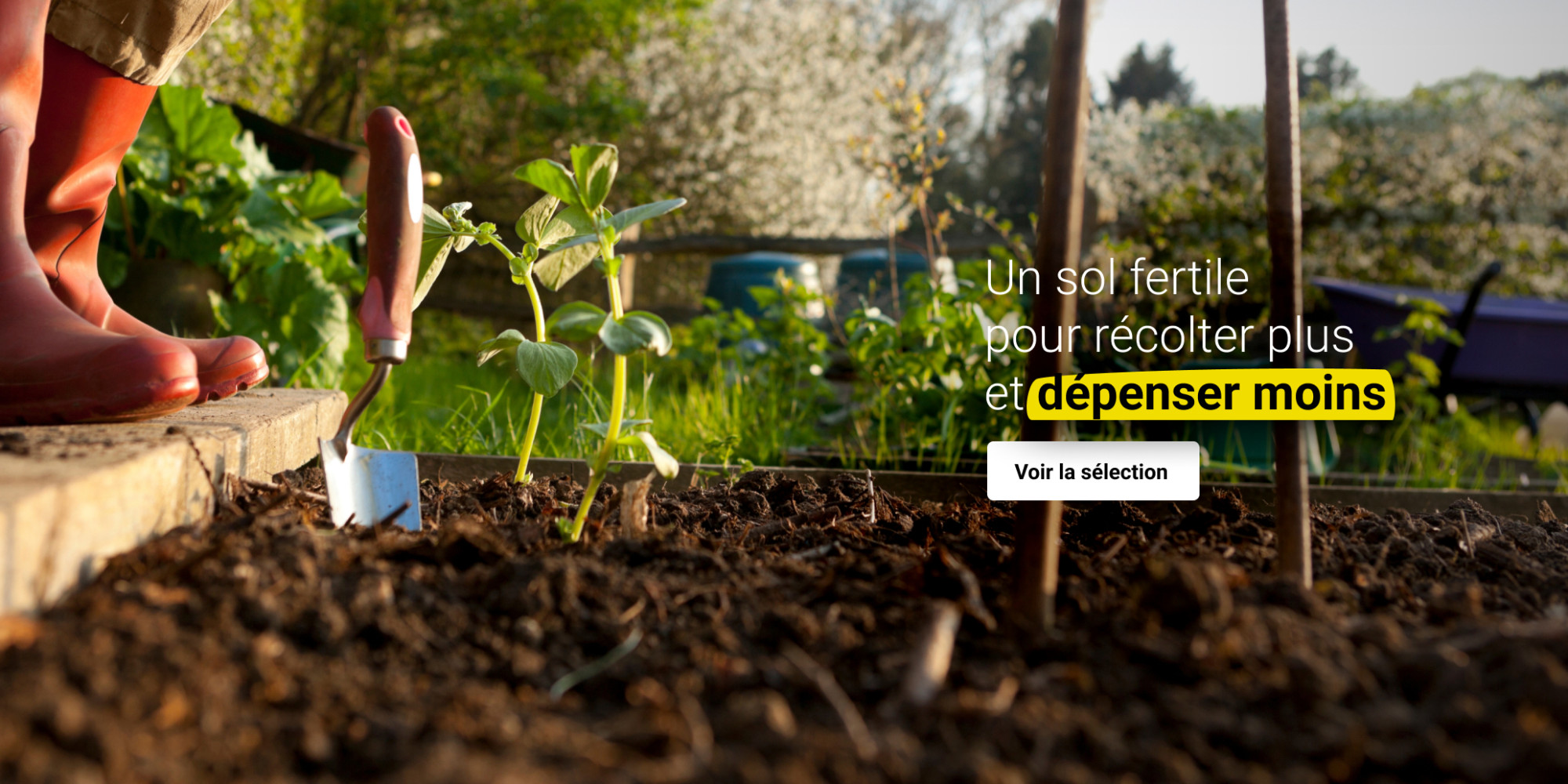 Sélection potager : un sol fertile pour récolter plus et dépenser moins