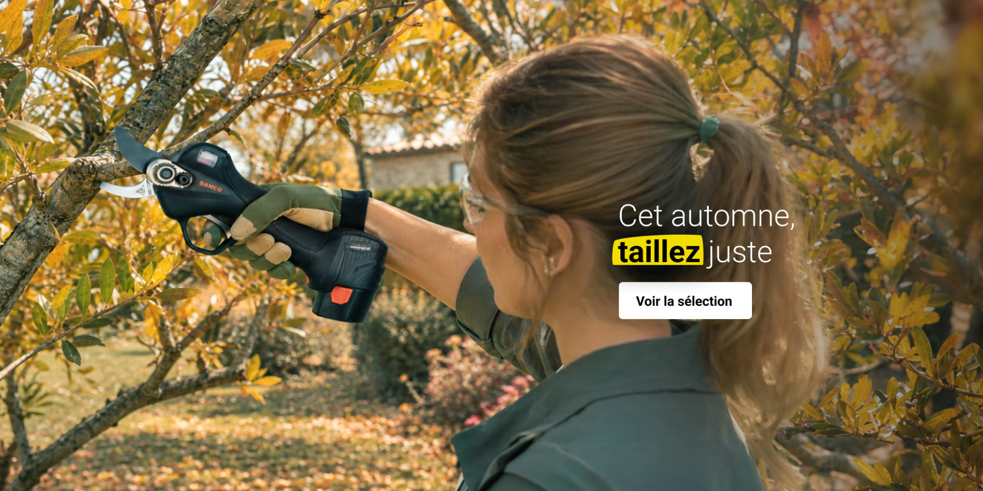Taille d'automne