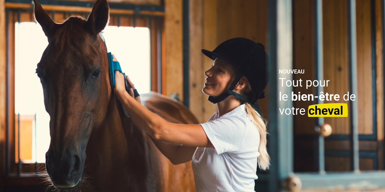 Nouveau rayon équipement cheval