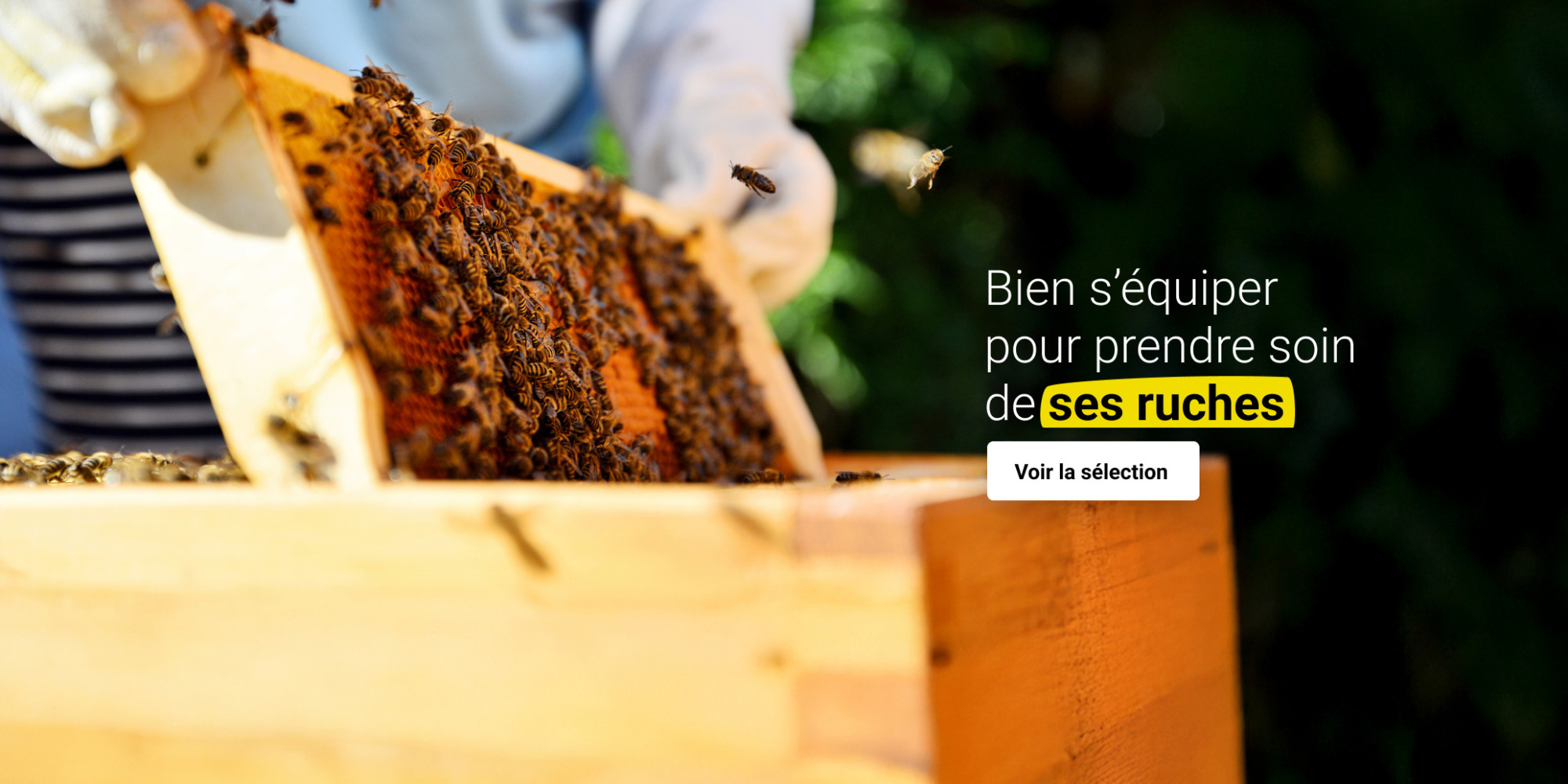 Apiculture