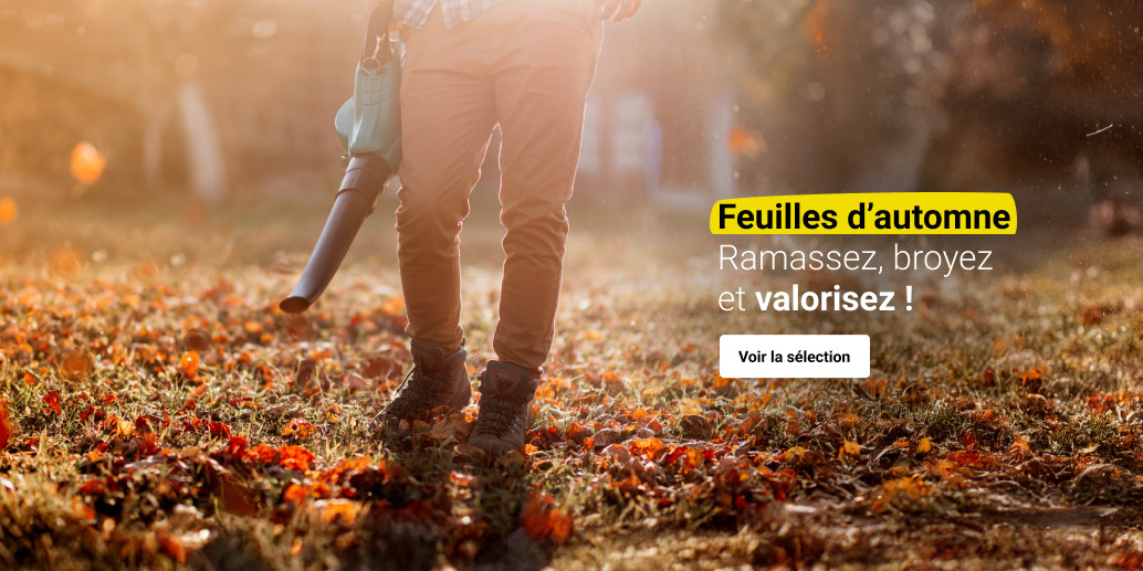 Feuilles d'automne