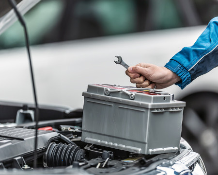 Motorisation élagueuse : comment choisir entre électrique, thermique et  batterie sans fil ?