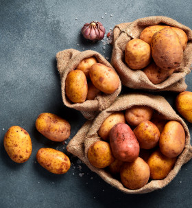 Catalogue Nouveau Départ au Jardin