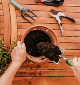 Terreau universel ou spécifique ?