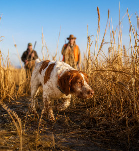 Catalogue chasse : Votre saison commence ici