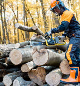 Guide EPI pour les travaux forestiers