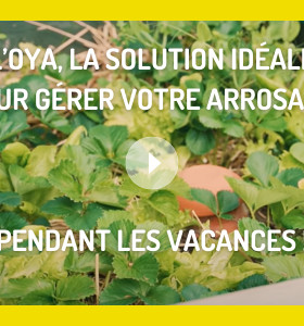 L'Oya : Révolutionnez votre Arrosage
