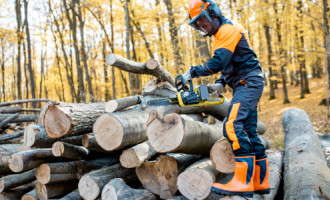 Choisir ses équipements de protection pour le bûcheronnage : le guide complet