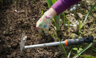 Quels produits et outils désherbants choisir ?