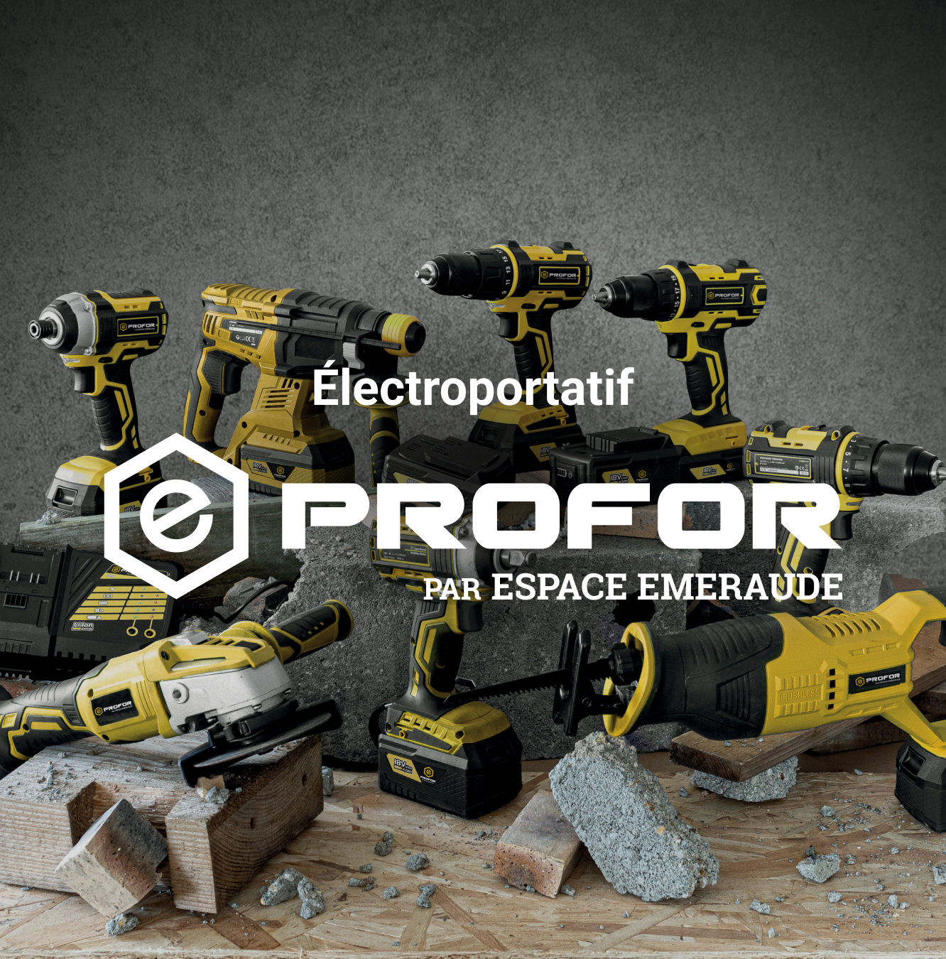Outillage électroportatif Profor