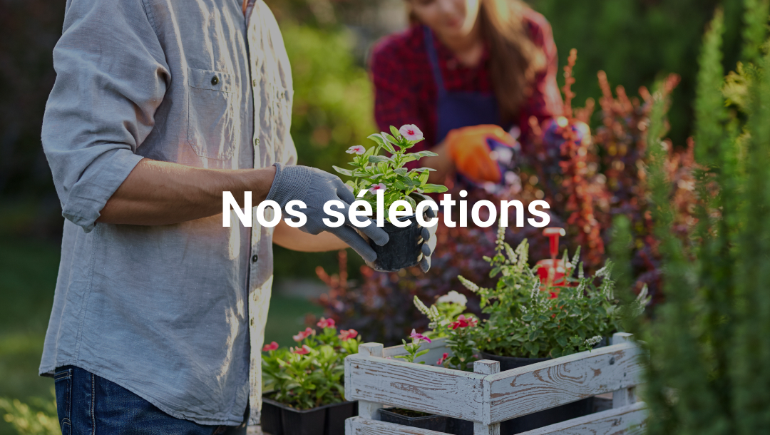 Sélection jardinage