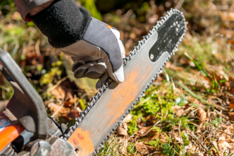 hivernage tronçonneuse