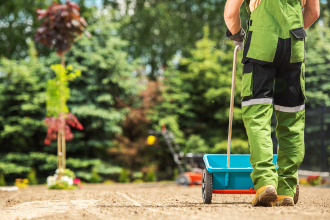 Semis de gazon avec geste croisé pour bonne répartition