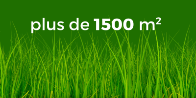 Débroussailleuse pour terrain de plus de 1500m²