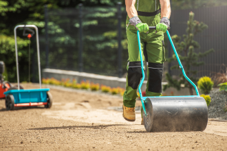 Passage du rouleau après semis pour coller les graines au sol