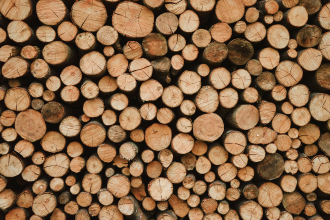 Pile de bûches bien rangées sous un abri à bois ventilé
